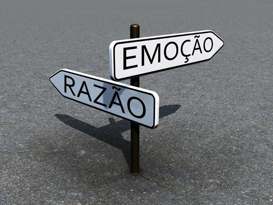 1d774ab4144924d8223fbc444bda2d81